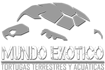 Mundo Exótico